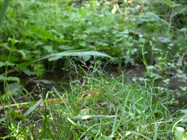 20060717_192556.JPG