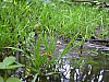 20060717_191607.JPG