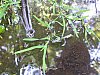 20060717_191647.JPG