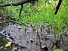 20060717_192434.JPG