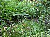 20060717_192556.JPG