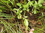 20070630_121117.JPG