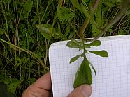 20070630_121151.JPG