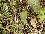 20070630_121200.JPG