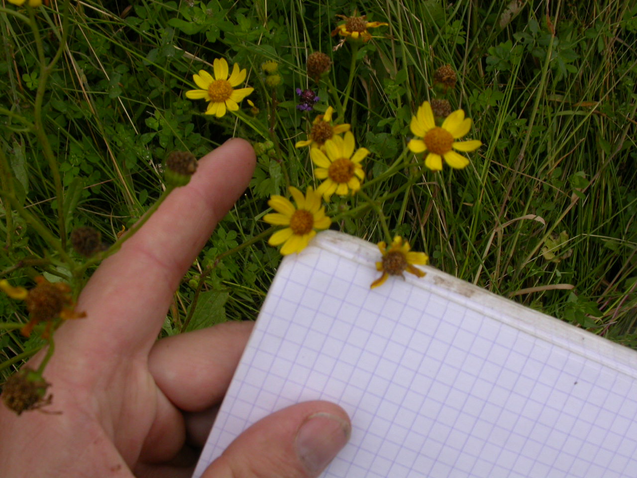 20070630_121222.JPG