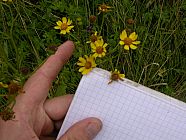 20070630_121222.JPG