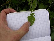 20070630_121303.JPG