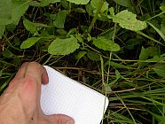20070630_121316.JPG