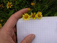 20070630_121325.JPG