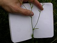 20070630_121402.JPG