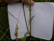 20070630_121451.JPG