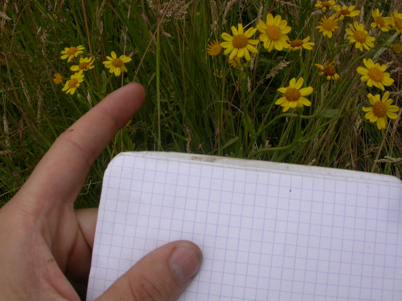 20070630_121523.JPG