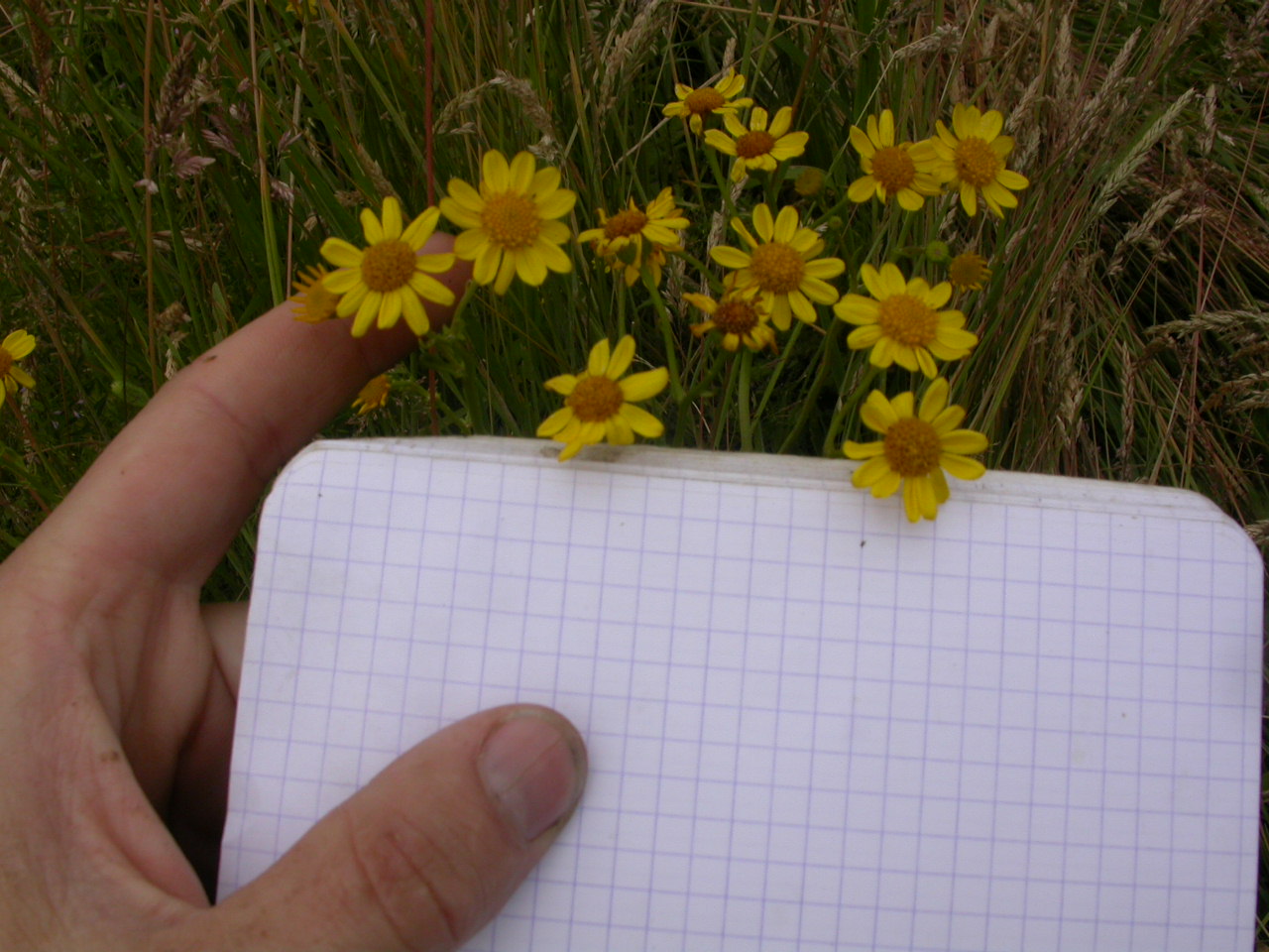 20070630_121528.JPG