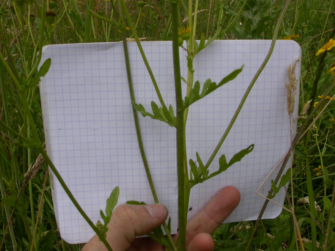 20070630_121648.JPG
