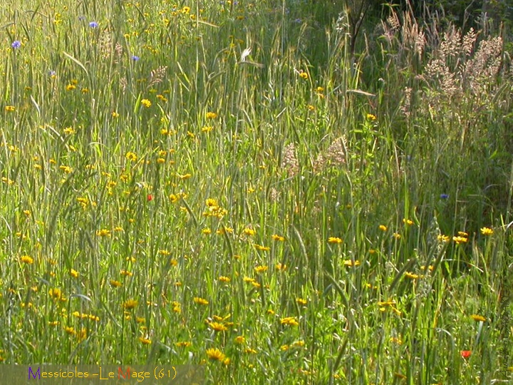 20070605_180543.jpg