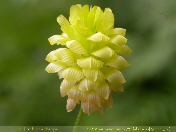 20070630_172833.jpg