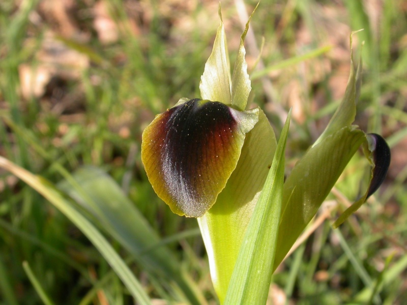 20070401_164434.jpg