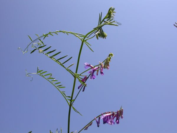 20060715_120125.JPG