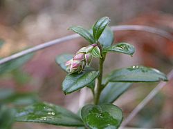 20070310_142058.JPG