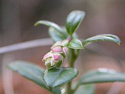 20070310_142138.JPG