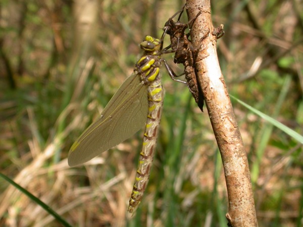 20070425_121656.JPG