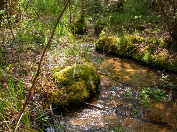 20070425_122602.JPG