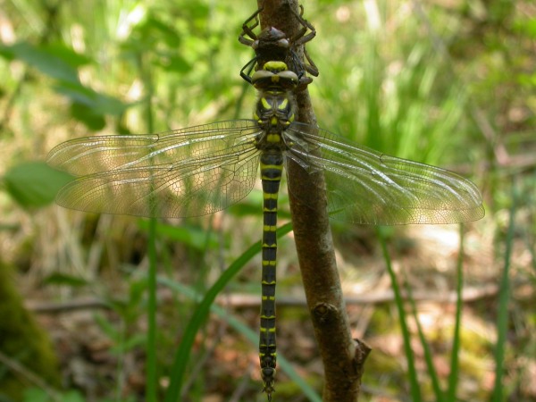 20070425_140935.JPG