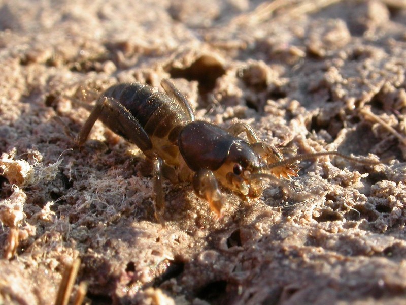 20090629_190139.JPG