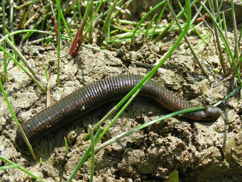 20090628_112039.JPG
