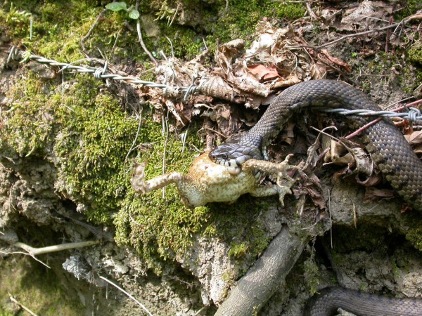 20070425_150630.JPG