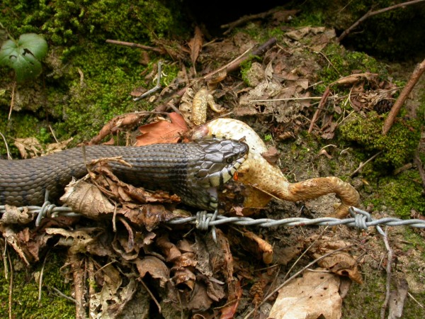 20070425_153849.JPG