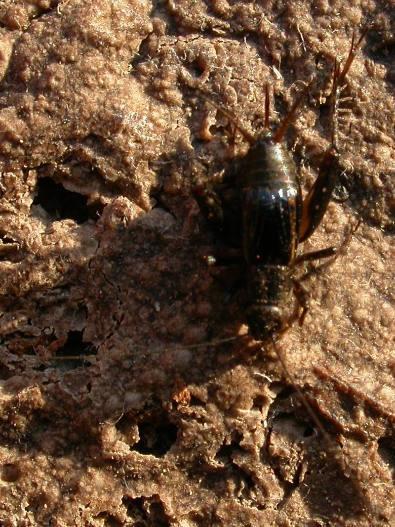 20090629_191729.JPG
