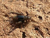 20090629_192020.JPG