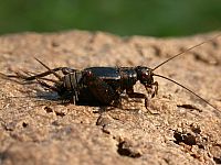20090629_192043.JPG