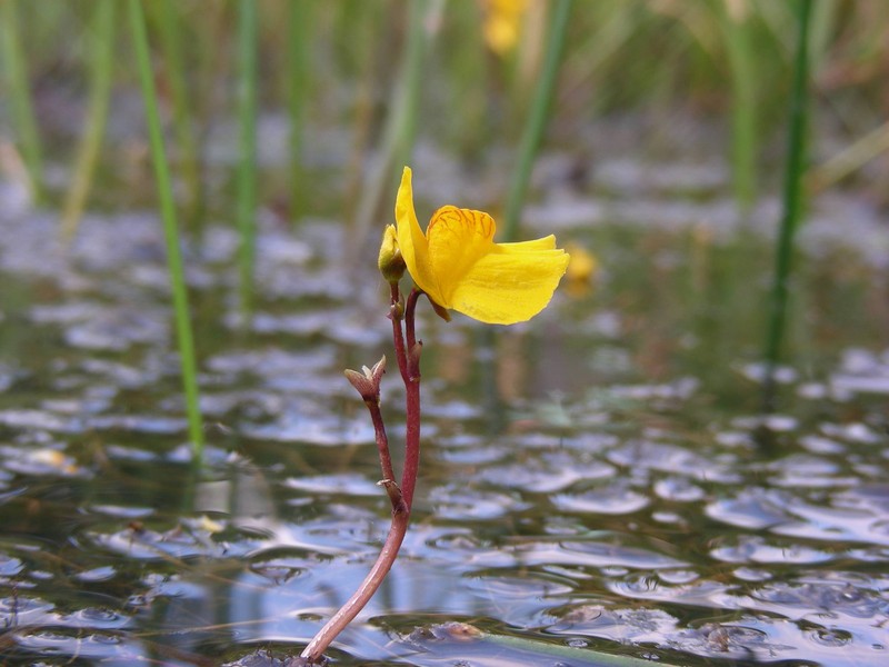 20090628_121539.JPG
