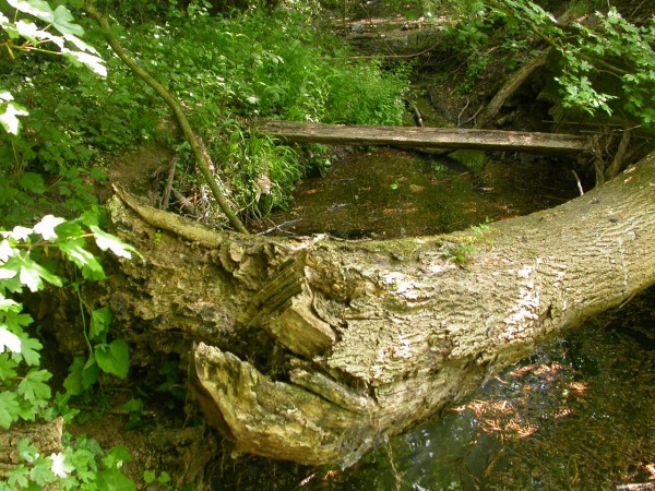 20070430_122222.JPG
